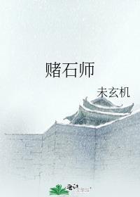 赌石师未玄机TXT